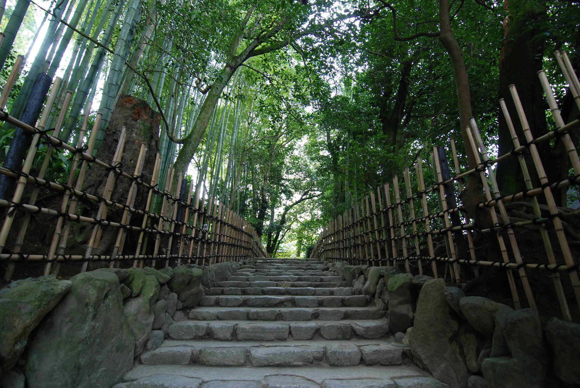 Shisen-dō, opened early for you