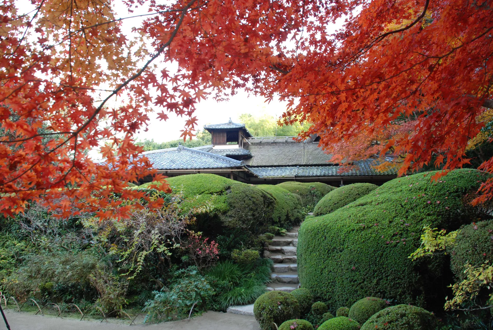 Shisen-dō, opened early for you