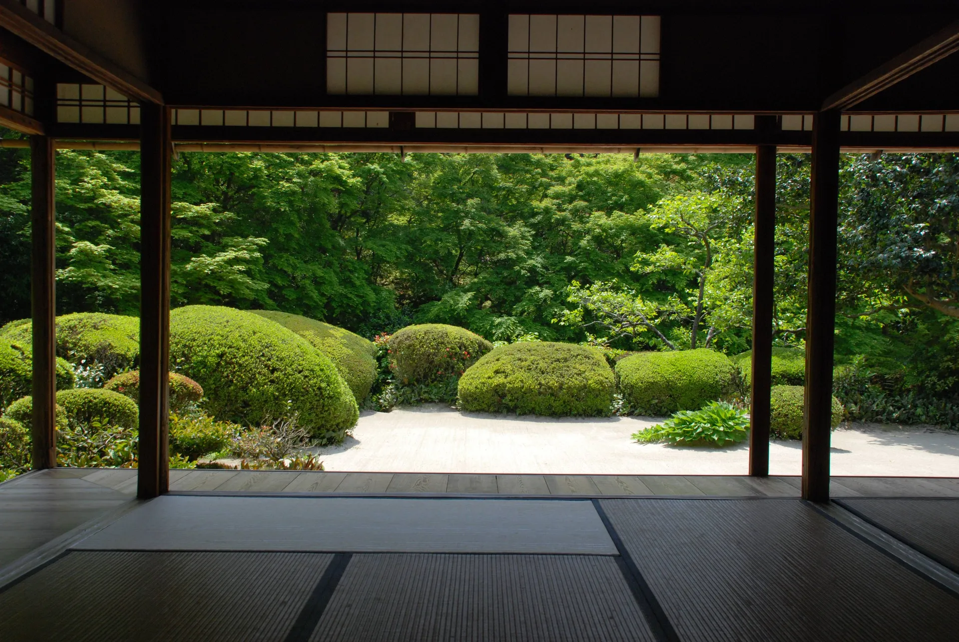 Zazen at Shisen-dō