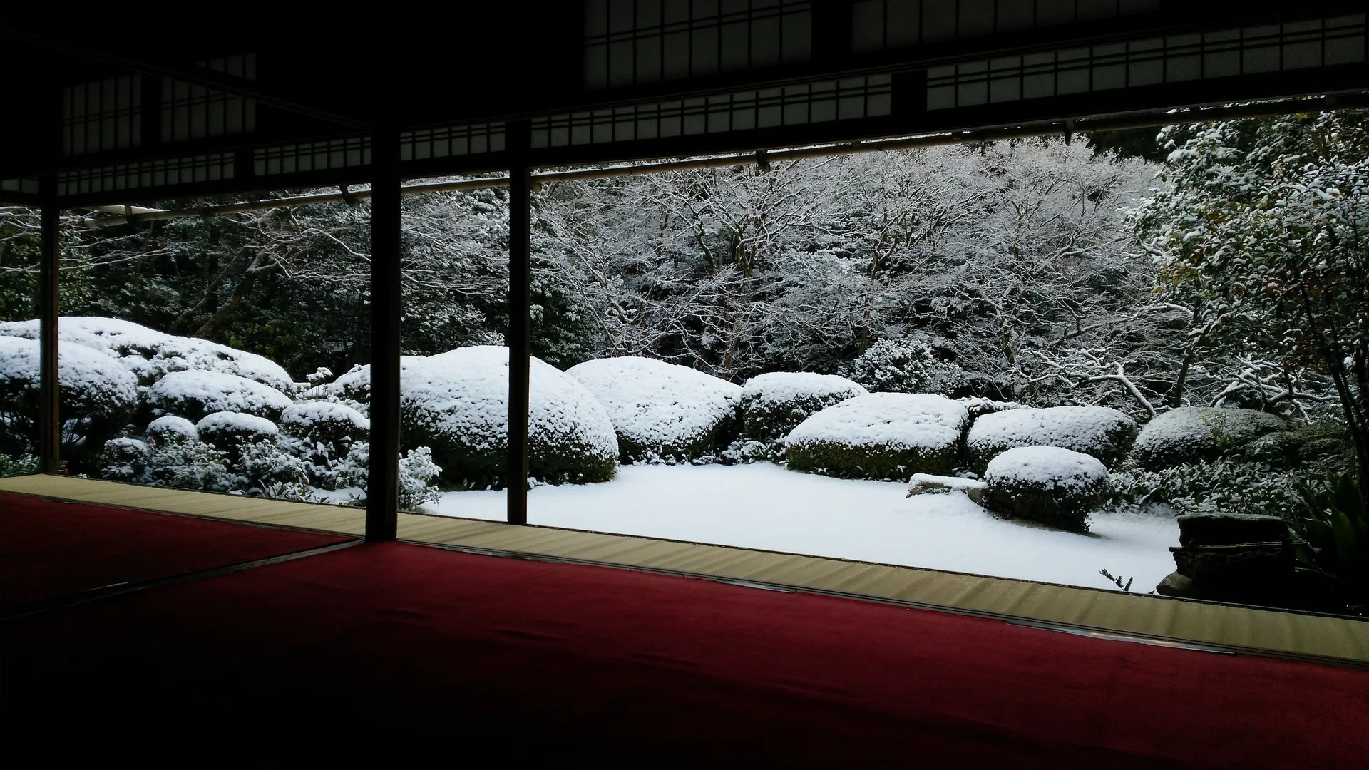 Shisen-dō, opened early for you